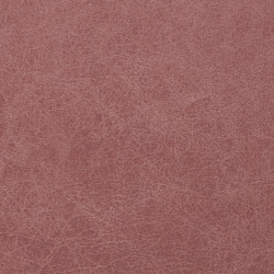 Cowboy Coral