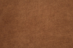 Panamera 6 Brown