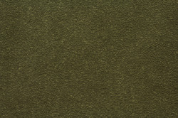 Olimp 20