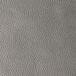 Pacifico Ash