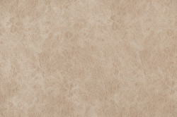 Presto 1