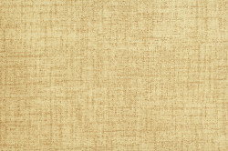 Tako Beige