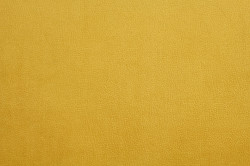 Petra Honey