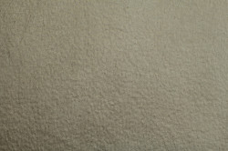 Polo 5