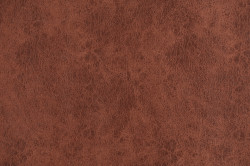 Presto 24