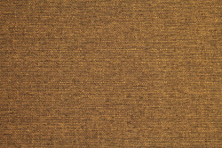 Sx 48 - 11 Lt.Brown