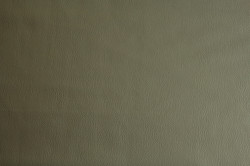 Novella 601
