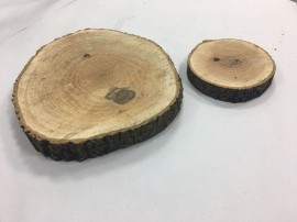 Felii bustean 22-27 cm