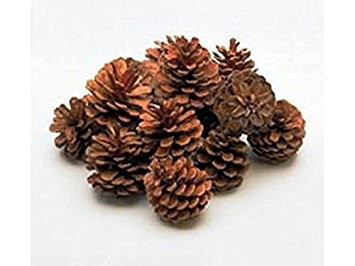 conuri pin mari