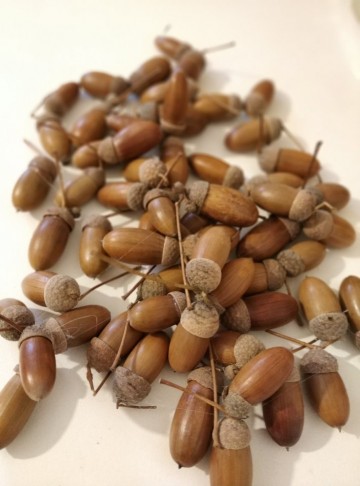 Ghinda natur 300 gr