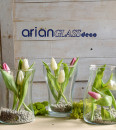 Pachet florarie: 3 vaze Alexsia, Otis si Maine plus cub 10x10x10 gratis