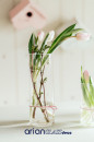 vase cilindrice