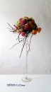 Platou Calypso cu picior spiralat H 50 cm