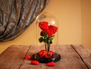 cupola sticla pentru trandafiri criogenati