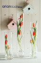 Set 3 cilindri sticla WISH