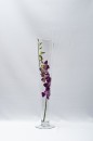 vaza sticla inalta montana h 60 cm