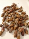Ghinda natur 300 gr