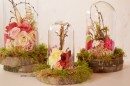 Cupola sticla H 18 D 10 cu suport natur