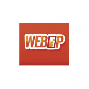 MCDI SECURITY PRODUCTS INC WEBOPCH1 Licencia Modulo acceso W