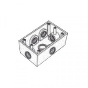 RR0289 Rawelt Caja Condulet FS de 1/2 12.7 mm c