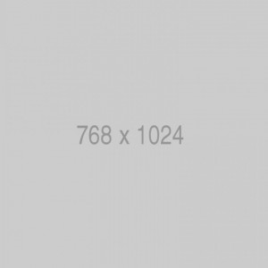 SBT1620002 SBE TECH SBETECH PPC624P - Panel de par