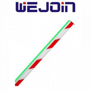 WEJOIN TVB151038 WEJOIN WJLBM6 - Brazo recto de 6 metros LE