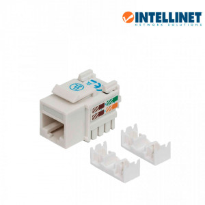INTELLINET ITL1610008 INTELLINET 210591 - Jack RJ45 CAT6 Key