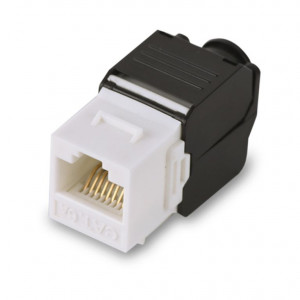 TCE442030 SAXXON SAXXON M242C5 - Modulo jack keyst