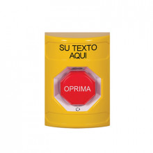 SS2209ZAES STI todo