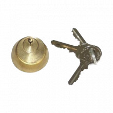 712651001 Faac CILINDRO INTERNO PARA ELECTROCERRADURA NO 1