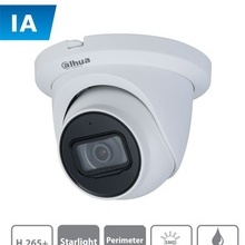 DAI0040002 DAHUA DAHUA IPC-HDW3441TMN-AS - Camara IP Domo co