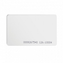 RUPTELA1WIRECARD Ruptela Tarjeta RFID para lectora con conec
