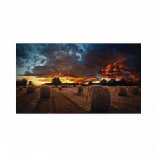 VM46BU SAMSUNG ELECTRONICS videowall seguridad