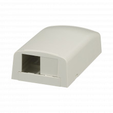 Cbx2iway Panduit Caja De Montaje En Superficie Para 2 Modul