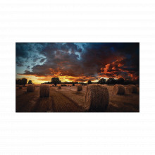 Vm55tu Samsung Electronics Pantalla Profesional LED De 55 Pa