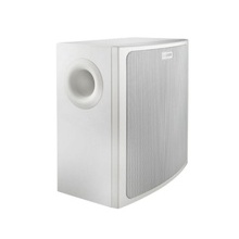 RBM4010141 BOSCH AUDIO BOSCH MLB6SW100L- SUBWOFER CON CAJA