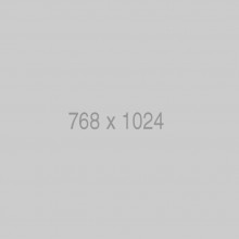 VIV0100001 VIVOTEK VIVOTEK IP9165LPCKIT950 - CAMARA IP PROF