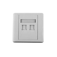 Lpfp02 Linkedpro Tapa De Pared Salida Para Dos Puertos Con