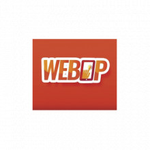 WEBOPCH1 MCDI SECURITY PRODUCTS INC softwares de admini