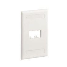 Cfpl2iwy Panduit Placa De Pared Vertical Clasica Salida Par