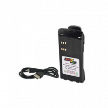 PCHNN9013 Good 2 Go Bateria con cargador USB integrado de L