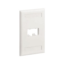 Cfpl2why Panduit Placa De Pared Vertical Clasica Salida Par