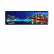 DHILDH29SAI100 DAHUA DAHUA LDH29SAI100 - Pantalla ultra STRE