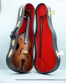Contrabas