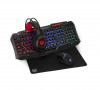 Tastatura, Mouse & Accesorii Periferice