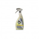 Detergent degresant puternic pentru bucatarie Cif Professional 750ml