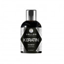 Sampon Cu Keratina si Proteine din lapte, Dallas keratin, 500 ml