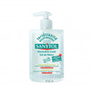 Gel dezinfectant pentru maini Sanytol, 250 ml