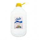 Sapun lichid Antibacterian Cu pH neutru Giulia, 5 L