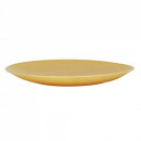 Farfurie din plastic intinsa 19 cm